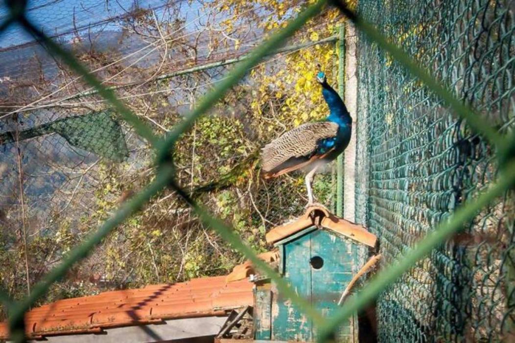 Refugio De Pedra Remoto Em Espadanedo Espadanedo  Eksteriør bilde